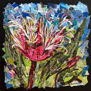 Tropical flower lily hawaii collage